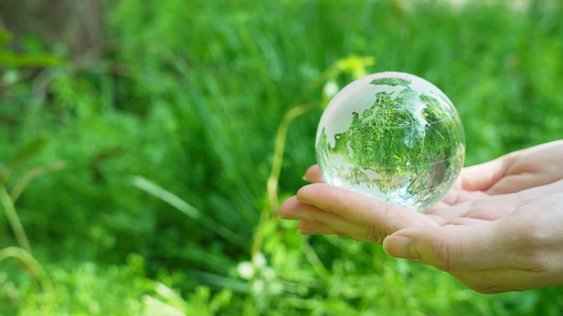 台湾の炭素費徴収開始と脱炭素経営